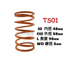 Hero Dash 125 Tech Pulley Tork Yayı (%15) TS01